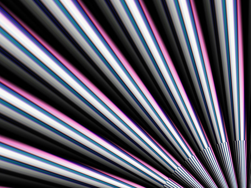 The Fan