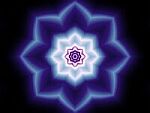 Flower 1